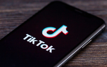 Niderlandda dövlət qulluqçularına “TikTok”dan istifadə qadağan edildi