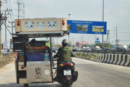 Taylandlı 11 pişiyini daşımaq üçün motosikletinə qoşqu quraşdırıb
