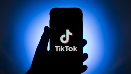 Bu ölkədə məmurlara TikTok-dan istifadə qadağan ediləcək