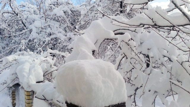 Bu həftə dağlıq ərazilərə qar yağacaq