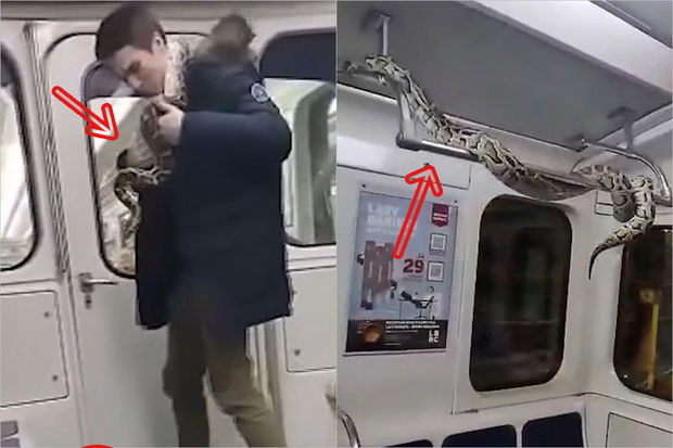 Rusiyalı kişi ilanını metroda “gəzintiyə” çıxardı