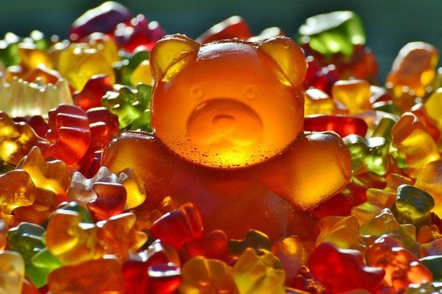 Niderland marmeladı Ginnesin Rekordlar Kitabına düşdü