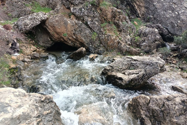 İllərdir quruyan dərədən zəlzələdən sonra su çıxır