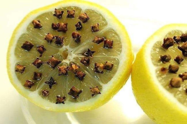 Ağcaqanadları bu cür də qovmaq olar -PRAKTİK VASİTƏ