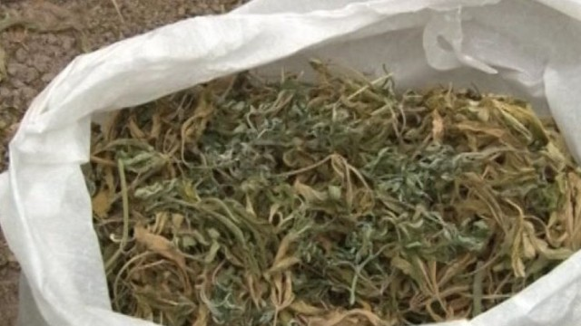 Masallı sakini 4 kq narkotiklə tutuldu