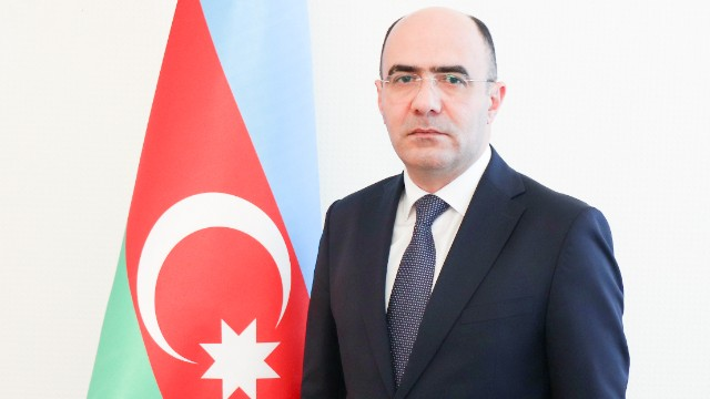 "Dərmanların qiyməti bahadır" - Nazir müavini