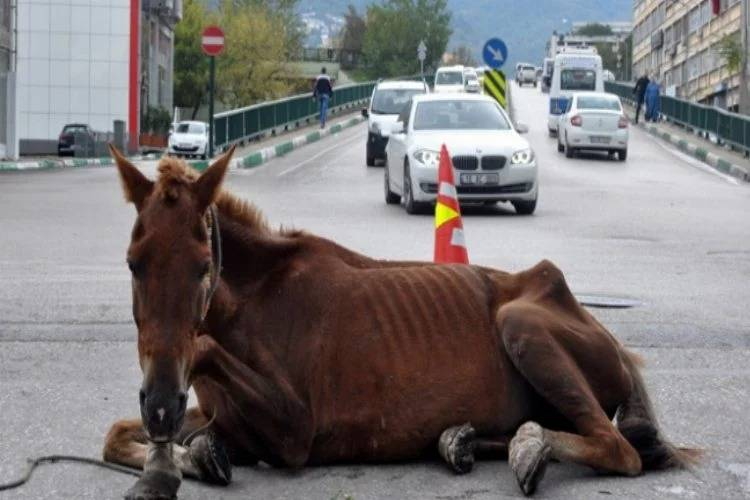 Sürücülər çətin anlar yaşadı