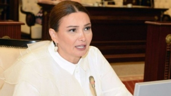 "İnkişaf etmiş ölkələrin heç birində antibiotiklər belə satılmır" - Qənirə Paşayeva