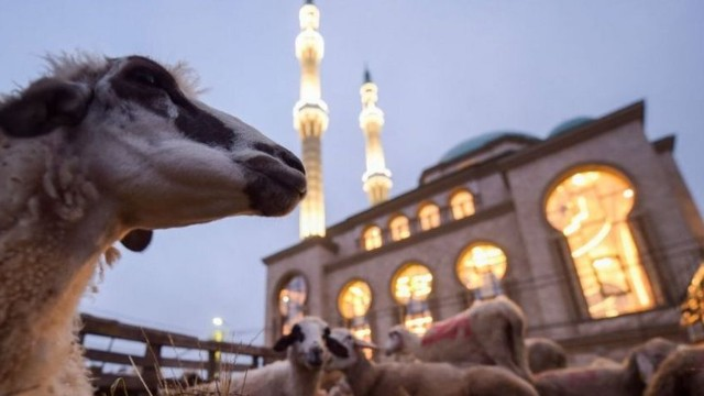 Bu gün Azərbaycanda Qurban bayramı qeyd edilir