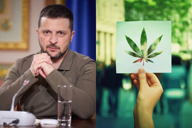 Zelenskidən ukraynalıların müharibə ağrı-acılarının dinməsi üçün təklif: “Kannabis leqallaşdırılsın”