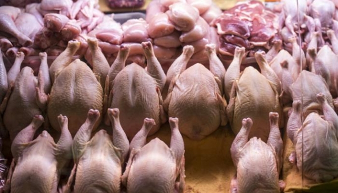 Danimarkanın bir regionundan Azərbaycana quş ətinin gətirilməsinə məhdudiyyət qoyuldu