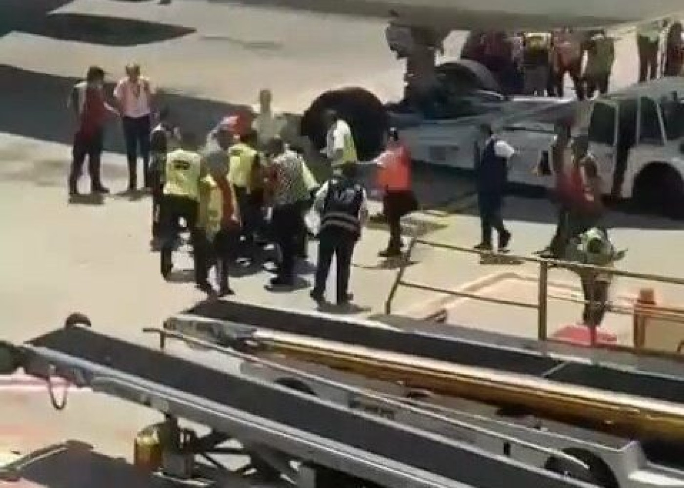 Hərəkətdə olan təyyarəni saxlamağa çalışan ata və oğlu həbs edildi