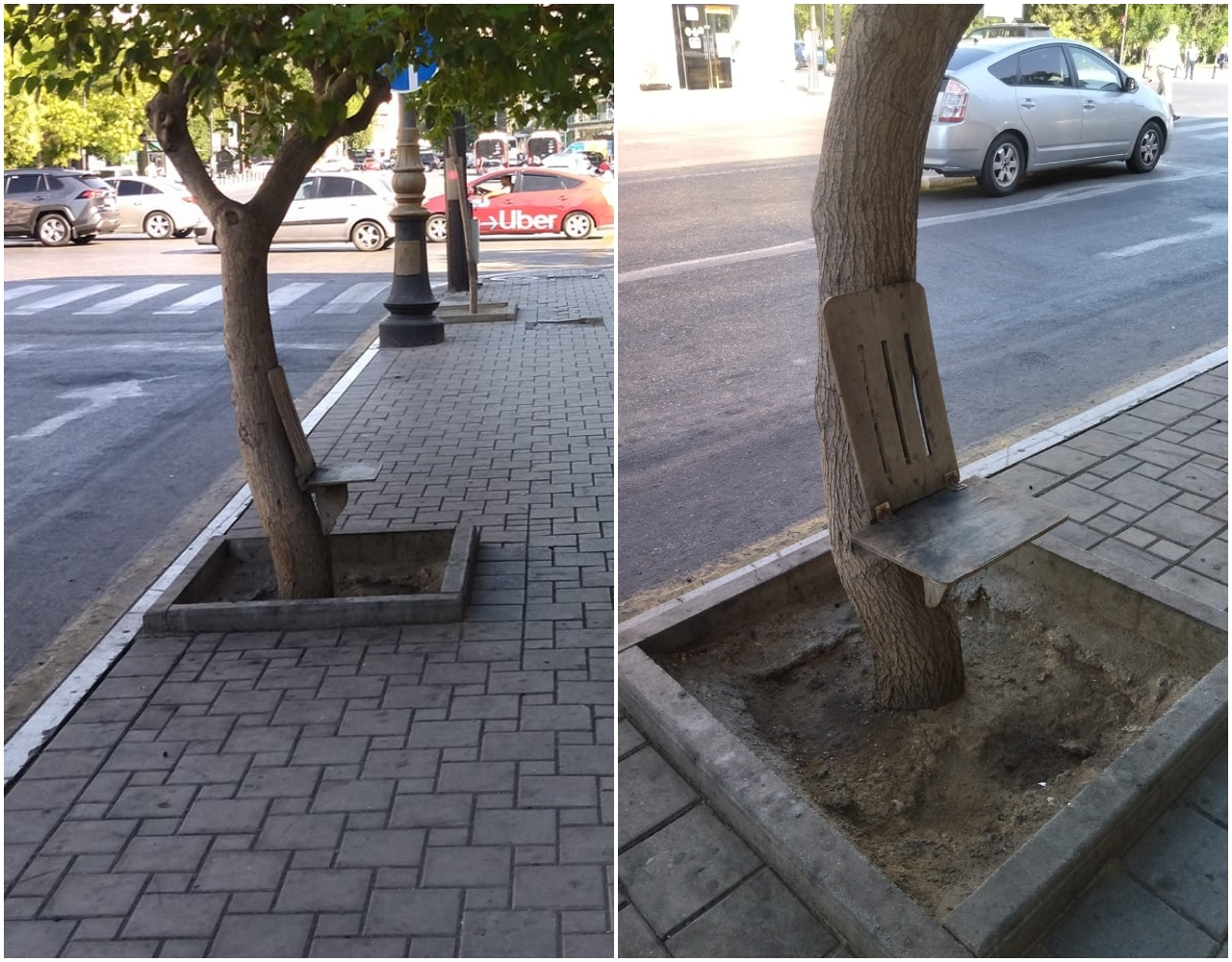 Bakıda stulu ağaca mismarladılar - FOTO