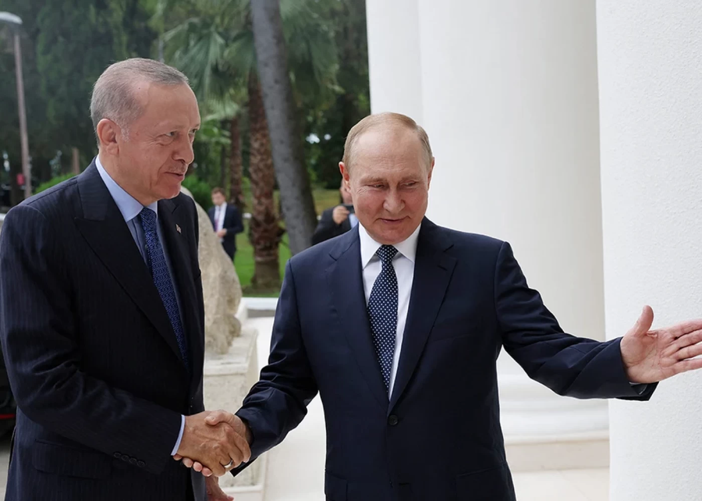 Ərdoğan Putinlə görüşə bilər