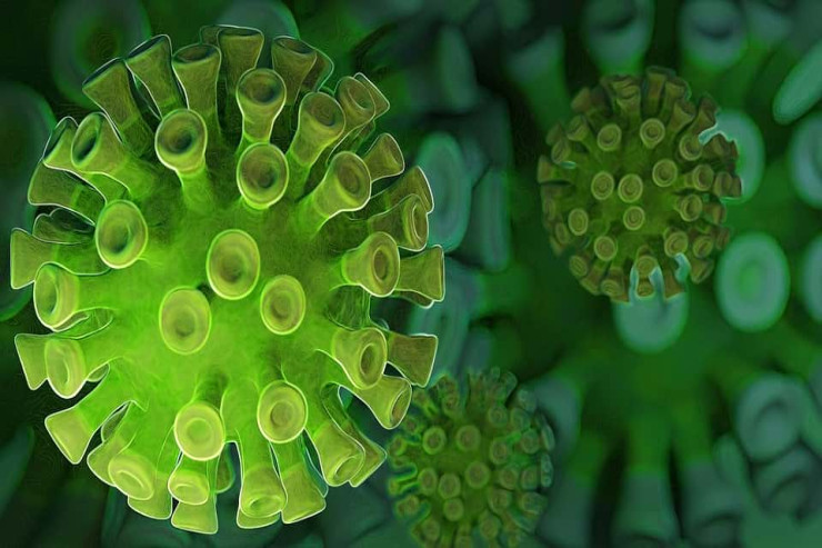 Avropada qatil virus sürətlə YAYILIR: Əlamətləri AÇIQLANDI