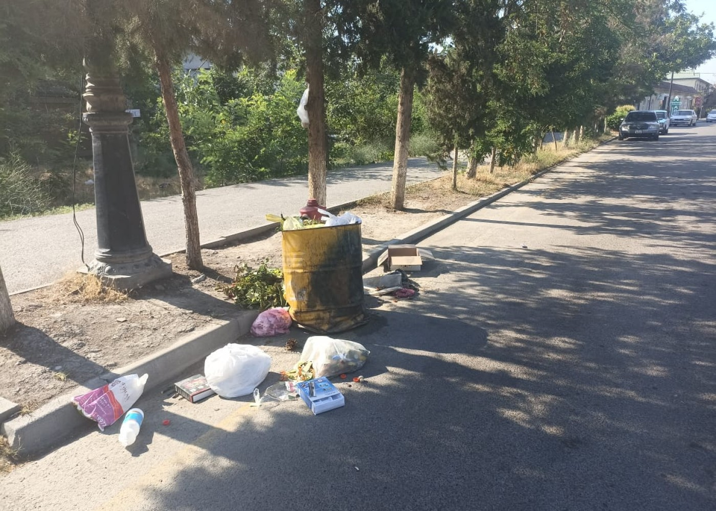 Ətraf mühiti zibilləyən şəxslər barəsində tədbirlər görüldü