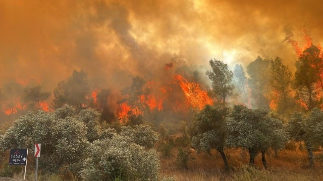 Türkiyədə meşə yanğınlarını törətməkdə şübhəli bilinənlər SAXLANILDI