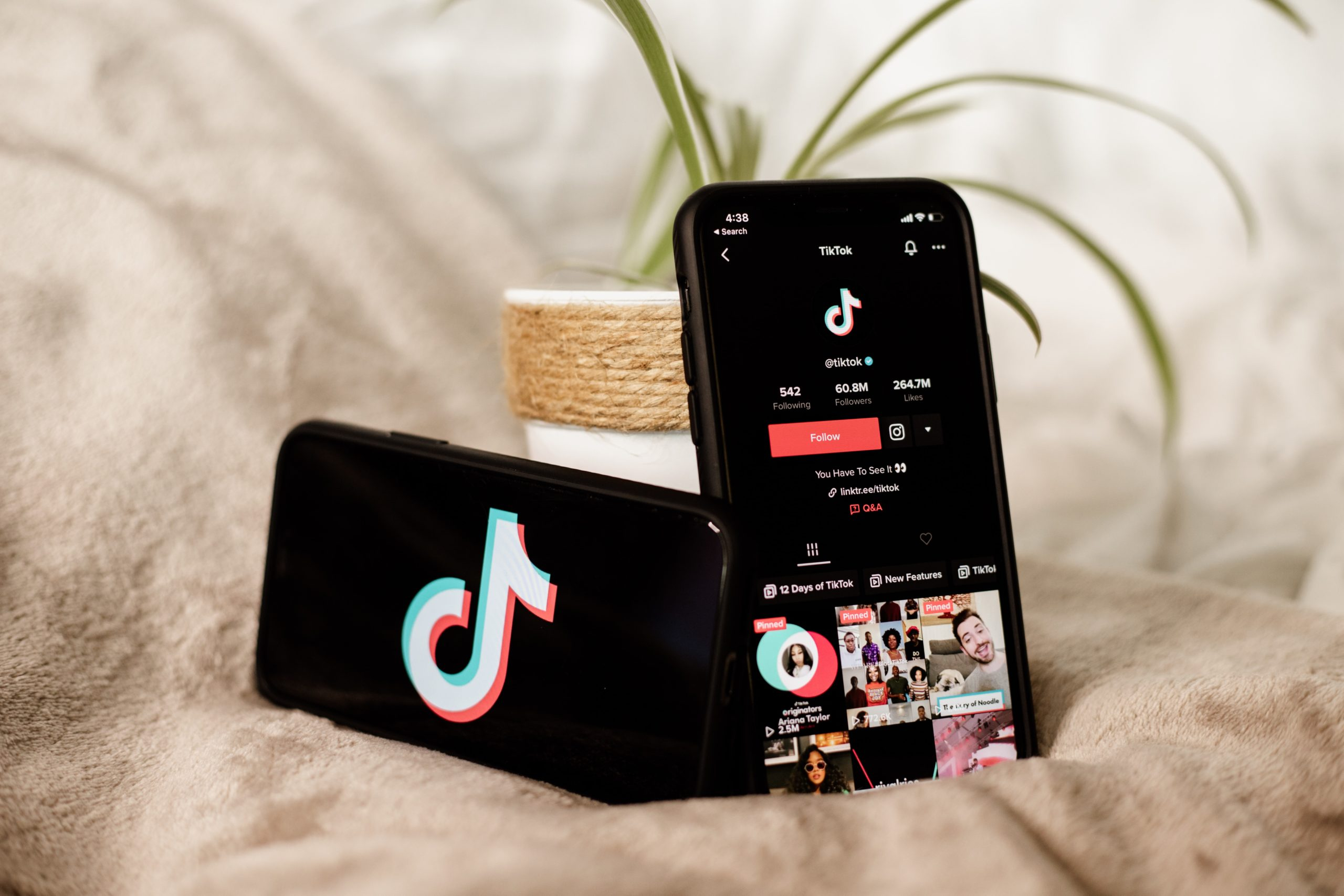 "TikTok"da YENİLİK: Bundan sonra istifadəçilər... - FOTO