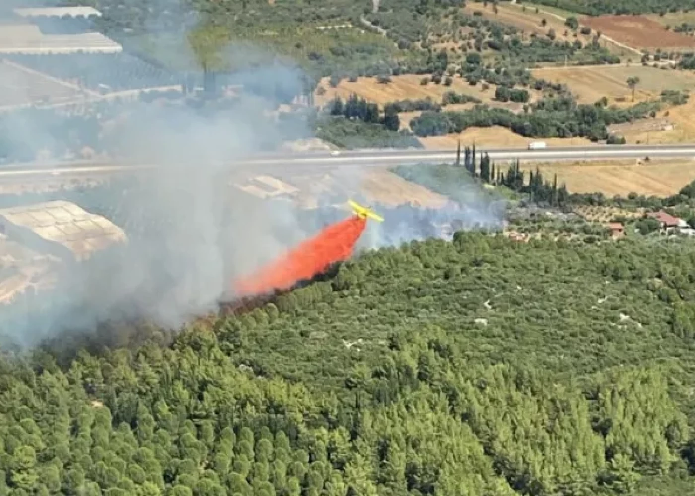 Antalyanın 2 rayonunda eyni vaxtda meşə yanğını başladı