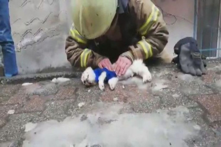 Pişiyi xilas etməyə çalışan yanğınsöndürən öldü