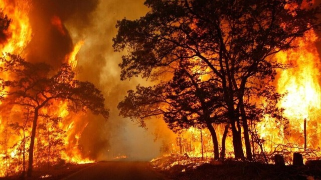 Portuqaliyada yanğınlar davam edir