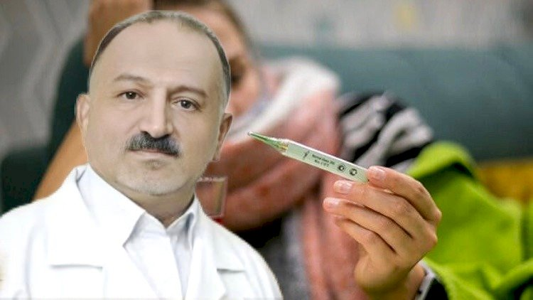 Bakıda yayılan qızdırma xəstəliyinə səbəb: Yoluxmaq riski nə qədərdir?