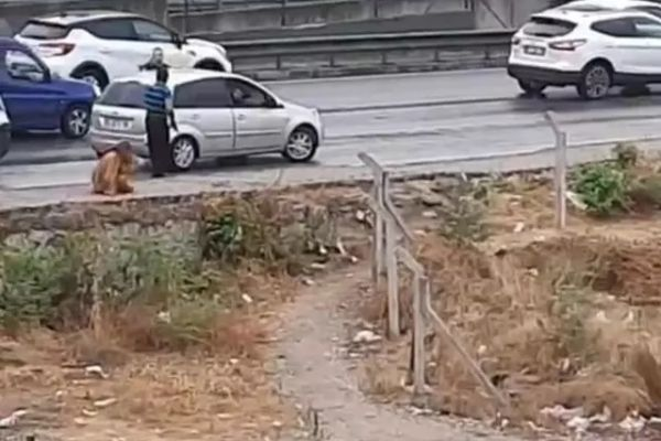 Dəhşət! Qadını yolun kənarında kəmərlə döydü