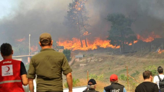 Çanaqqalada meşə yanğını başlayıb