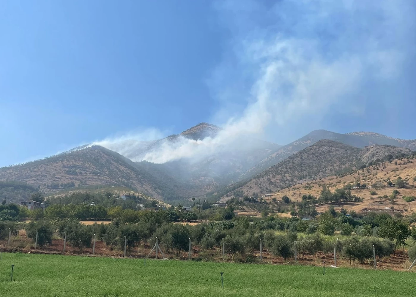 Kahramanmaraşda meşə yanğını başlayıb