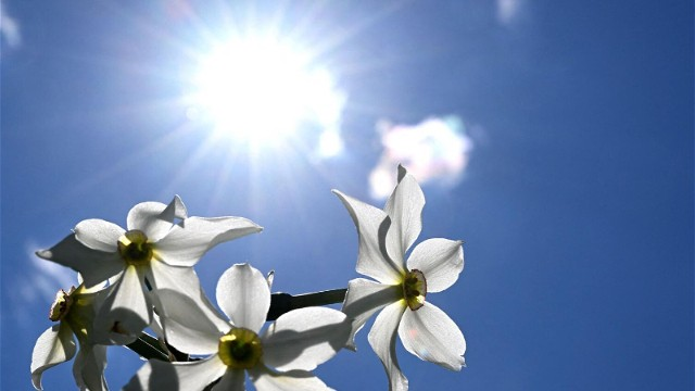 İstirahət günü hava necə olacaq?