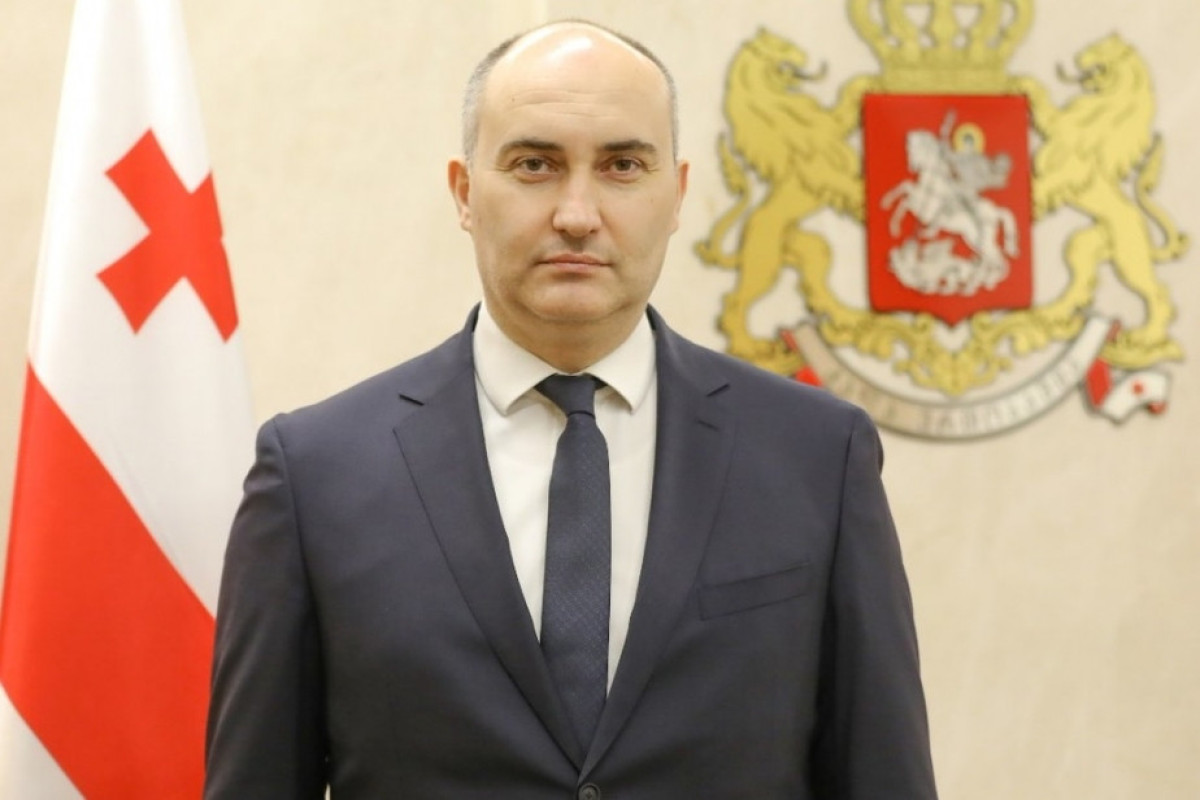 Gürcüstanın müdafiə naziri Ermənistana səfər edib