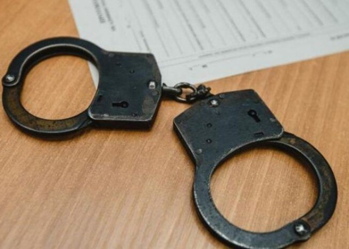 Təbiətə 523 min manatlıq ziyan vuruldu - Cinayət işi başlandı