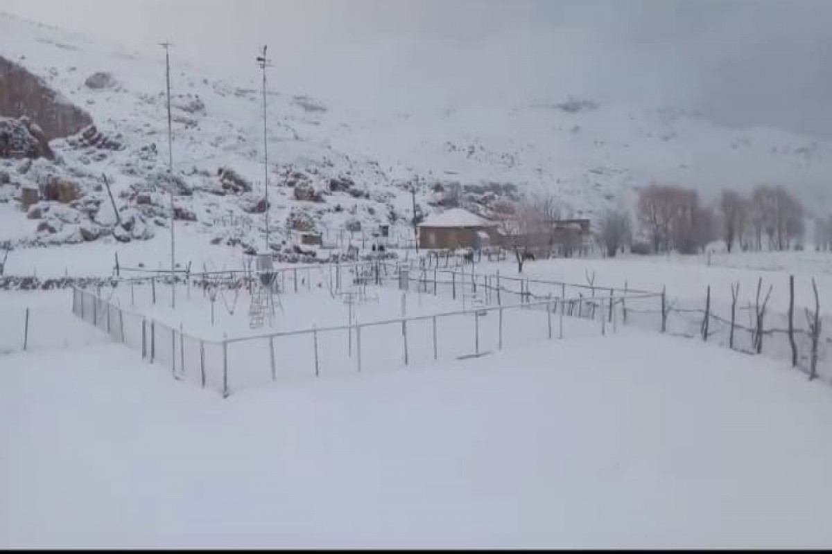 Şimal bölgəsinə güclü qar yağıb - FOTO
