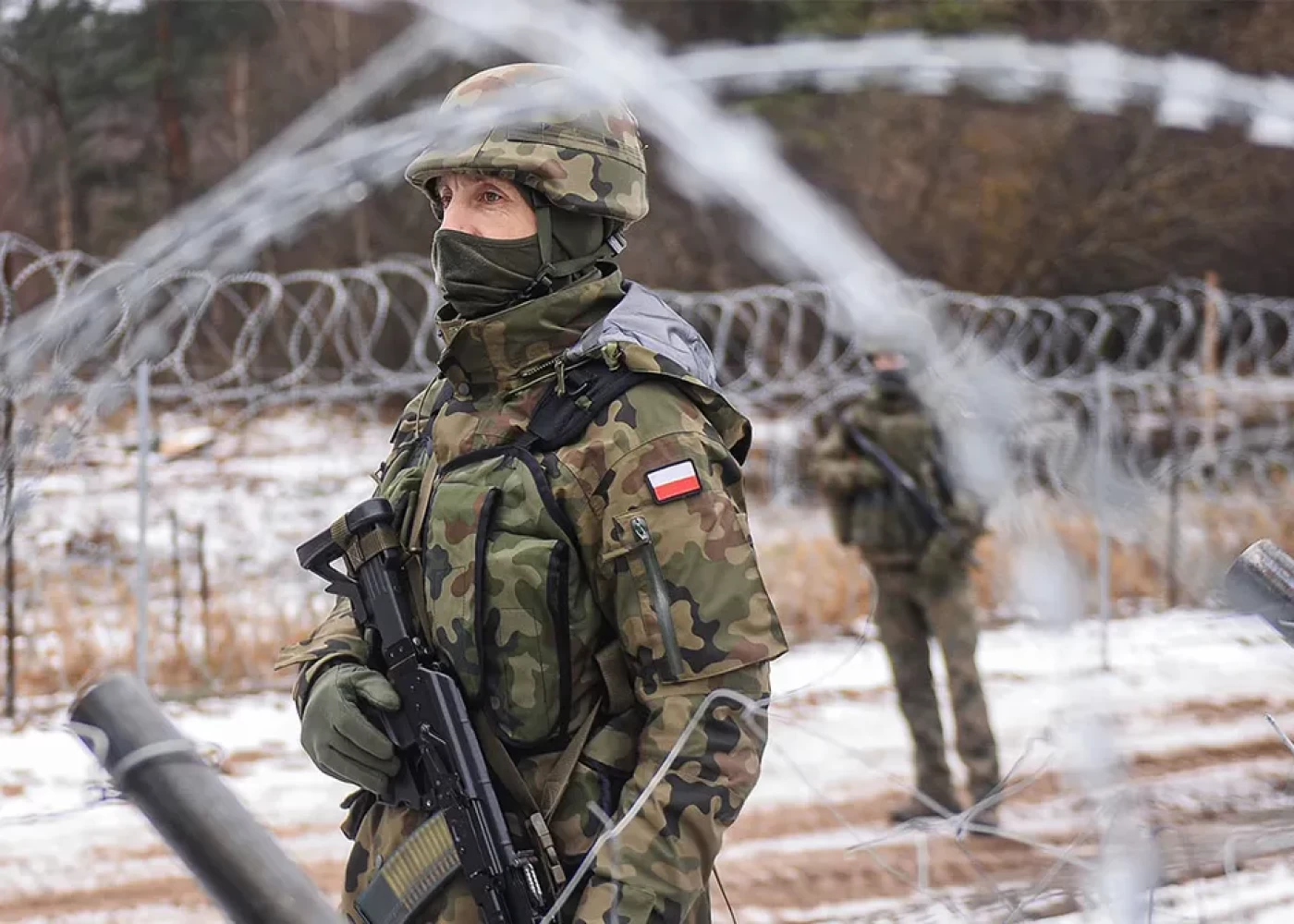 Polşa buna görə Finlandiyaya qoşun göndərir