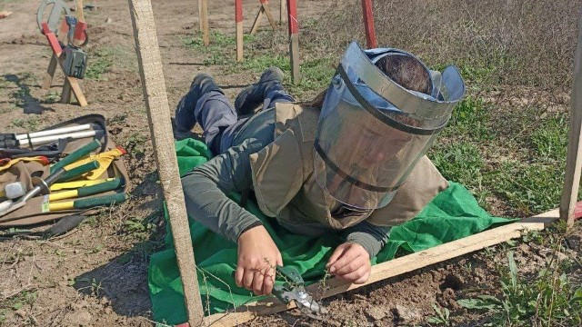 Minaaxtaran qadınlar işə başladı - FOTO