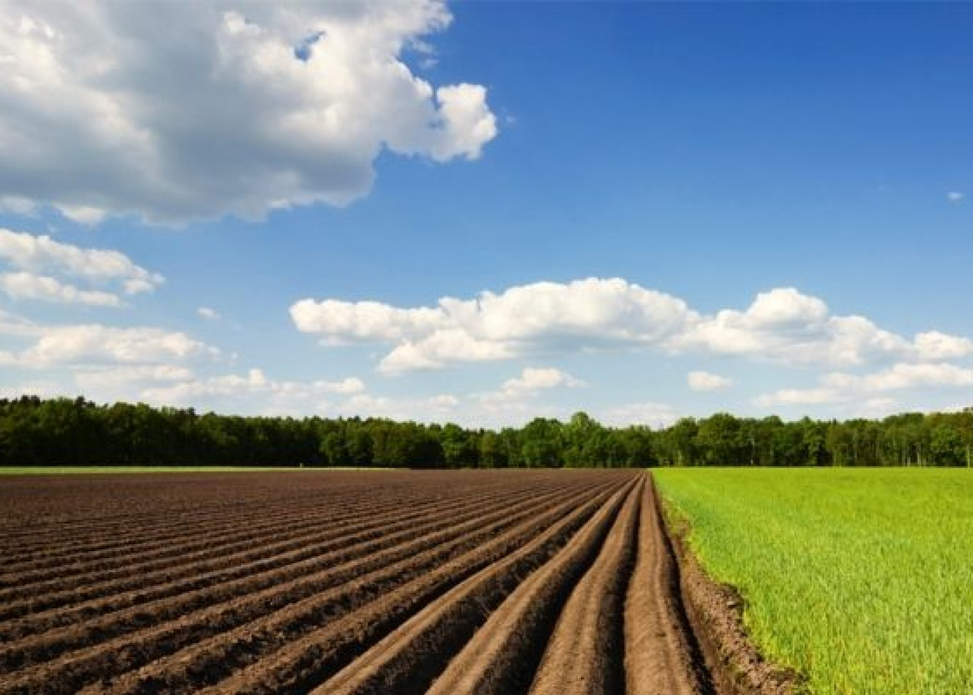Torpaq payı olanlar işsizlikdən sığorta ödənişi ala biləcək
