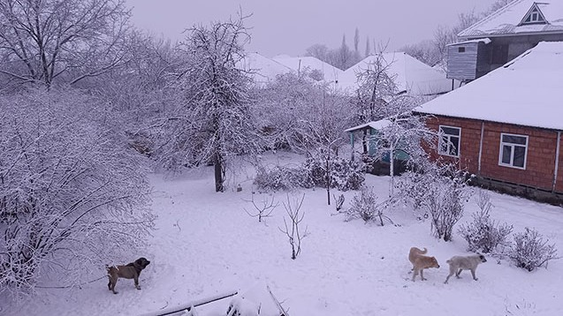 Qusar və Şahdağda qar yağıb - FAKTİKİ HAVA