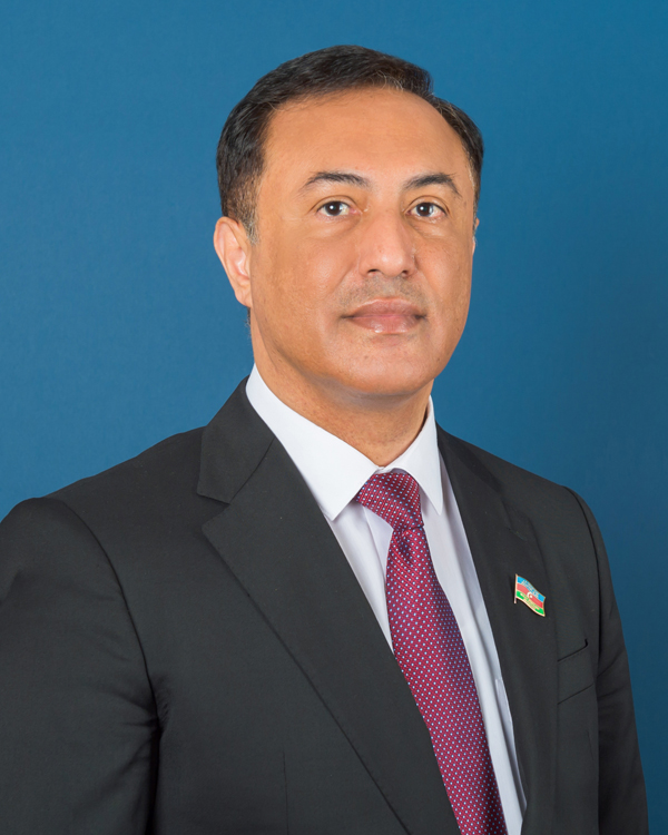 Tarix yazan sərkərdə