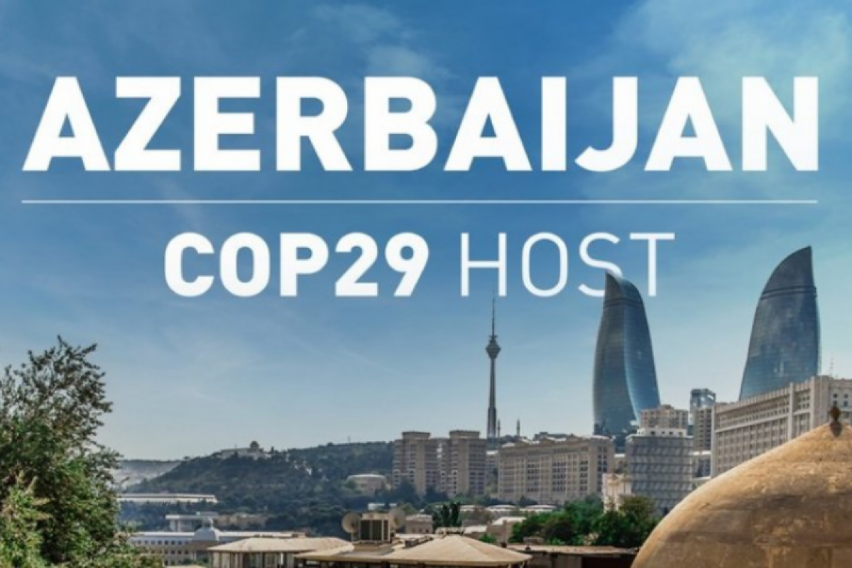 Braziliya səfiri Azərbaycanın COP29 çərçivəsində rolundan danışıb