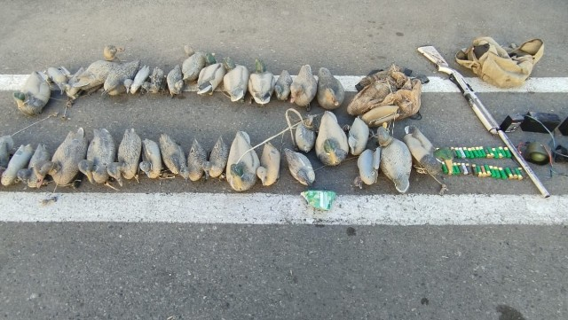 İmişlidə çöl ördəklərini ovlayan şəxs saxlanıldı