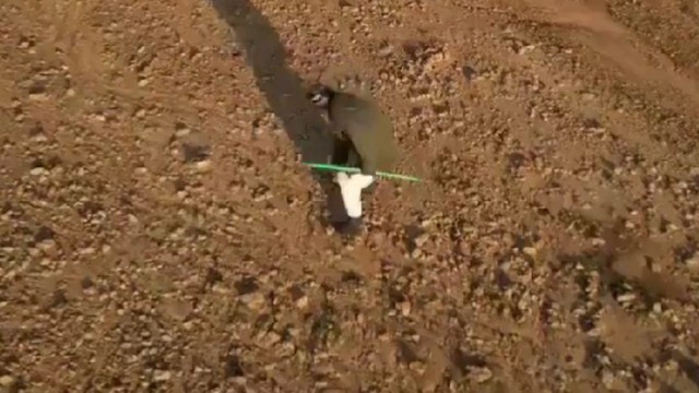 Çoban bir daşla pilotsuz təyyarəni vurdu