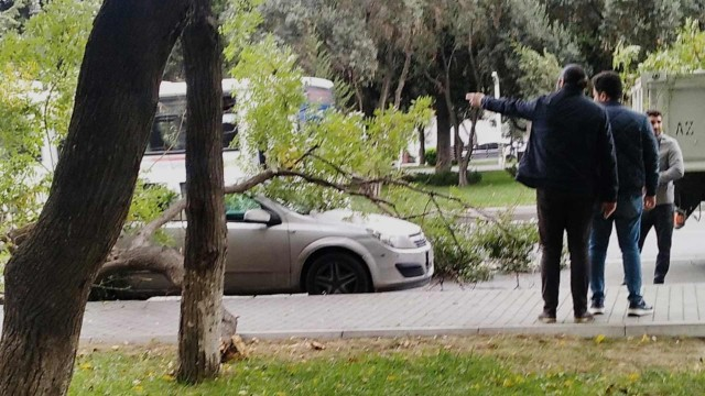 Sürücülərin nəzərinə: Maşını bu yerlərdə saxlamayın